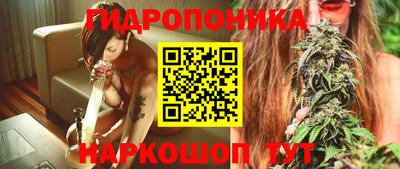 спиды Заволжье