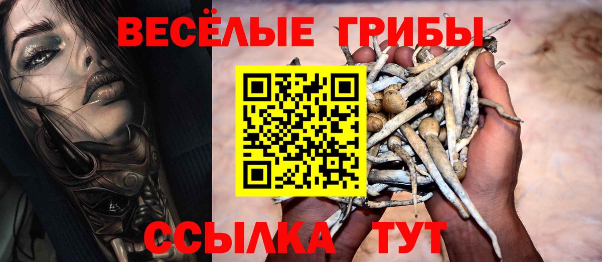 Псилоцибиновые грибы MAGIC MUSHROOMS Волгоград