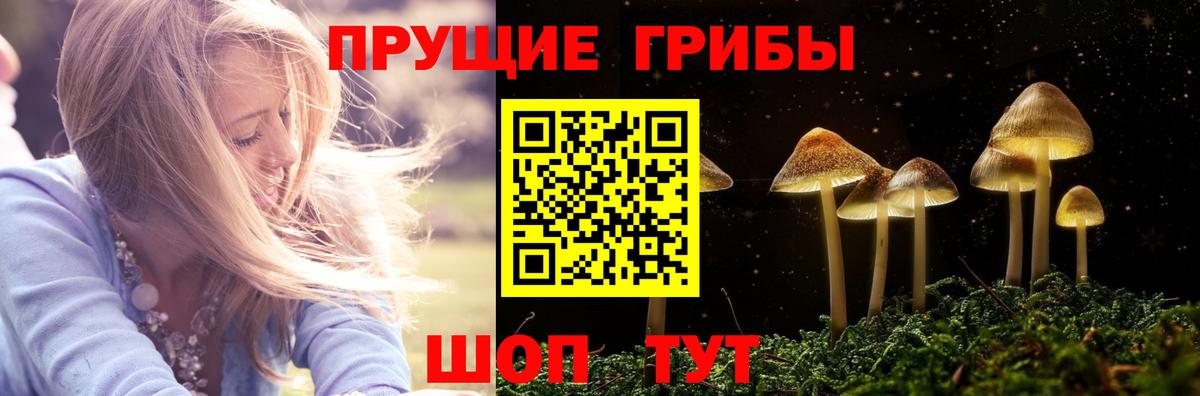 Волгоград  как найти   Вход с VPN  Псилоцибиновые грибы GOLDEN TEACHER 